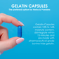 Clear Size 1 Empty Gelatin Capsules by Capsuline - 1000 Count - Gelatin Capsules - 1000